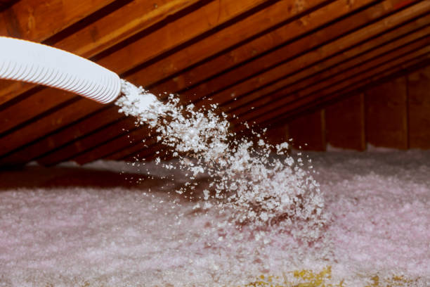 Best Insulation Maintenance and Repair in Prairieville, LA