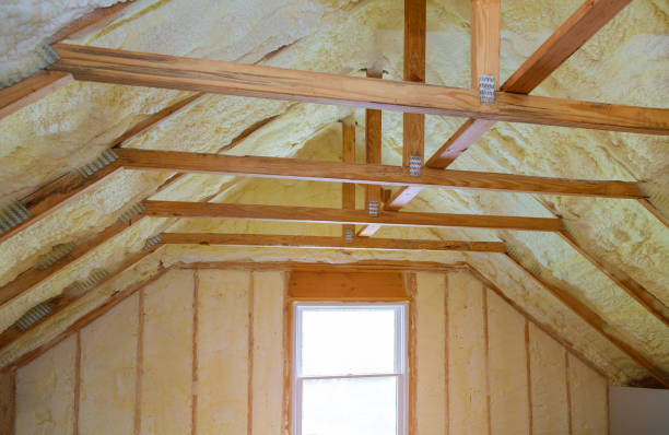 Best Eco-Friendly Insulation in Prairieville, LA