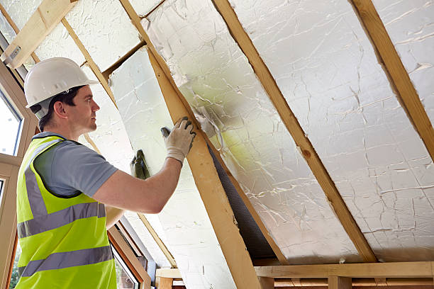Best Geographic-Specific Insulation Services in Prairieville, LA