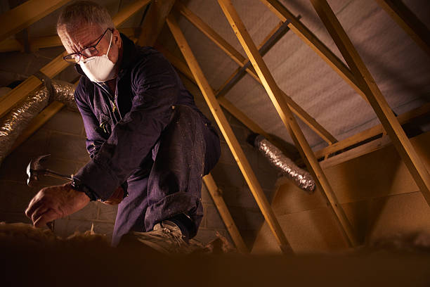 Reliable Prairieville, LA Insulation Contractor Solutions