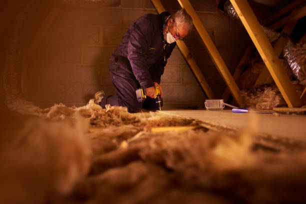 Best DIY Insulation Kits and Guidance in Prairieville, LA