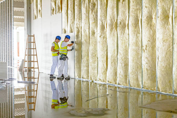 Best Residential Insulation in Prairieville, LA